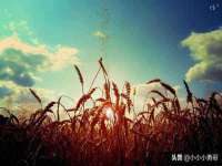 江苏凡德电力科技有限公司扬州分公司