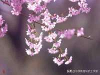 江苏凡德电力科技有限公司扬州分公司