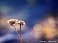 江苏凡德电力科技有限公司扬州分公司