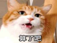 江苏凡德电力科技有限公司扬州分公司