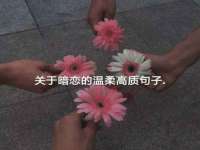 江苏凡德电力科技有限公司扬州分公司