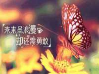 江苏凡德电力科技有限公司扬州分公司