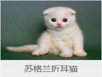 江苏凡德电力科技有限公司扬州分公司