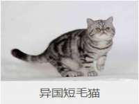 江苏凡德电力科技有限公司扬州分公司