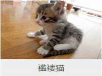 江苏凡德电力科技有限公司扬州分公司