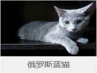 江苏凡德电力科技有限公司扬州分公司
