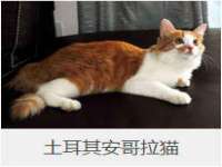 江苏凡德电力科技有限公司扬州分公司