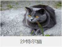 江苏凡德电力科技有限公司扬州分公司