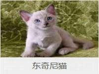 江苏凡德电力科技有限公司扬州分公司