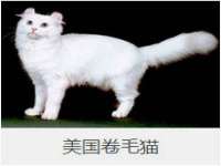 江苏凡德电力科技有限公司扬州分公司