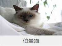 江苏凡德电力科技有限公司扬州分公司
