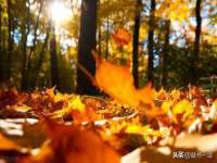 江苏凡德电力科技有限公司扬州分公司