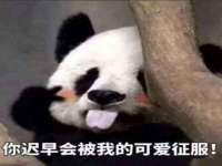 江苏凡德电力科技有限公司扬州分公司