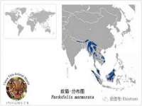 江苏凡德电力科技有限公司扬州分公司