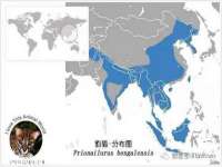 江苏凡德电力科技有限公司扬州分公司