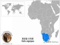 江苏凡德电力科技有限公司扬州分公司