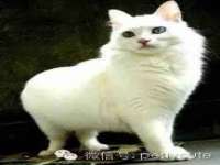 江苏凡德电力科技有限公司扬州分公司