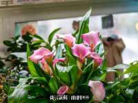 江苏凡德电力科技有限公司扬州分公司