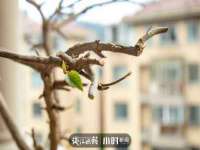 江苏凡德电力科技有限公司扬州分公司