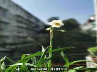 江苏凡德电力科技有限公司扬州分公司