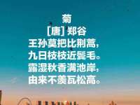 江苏凡德电力科技有限公司扬州分公司