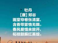 江苏凡德电力科技有限公司扬州分公司