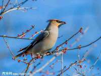 江苏凡德电力科技有限公司扬州分公司