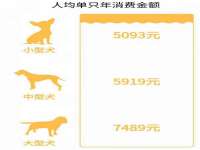 江苏凡德电力科技有限公司扬州分公司