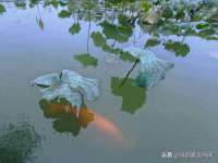江苏凡德电力科技有限公司扬州分公司