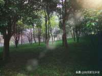 江苏凡德电力科技有限公司扬州分公司