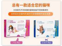 江苏凡德电力科技有限公司扬州分公司