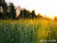 江苏凡德电力科技有限公司扬州分公司
