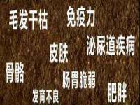 江苏凡德电力科技有限公司扬州分公司