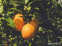 江苏凡德电力科技有限公司扬州分公司