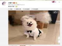 江苏凡德电力科技有限公司扬州分公司