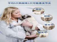 江苏凡德电力科技有限公司扬州分公司
