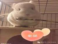 江苏凡德电力科技有限公司扬州分公司