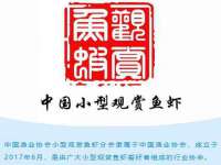 江苏凡德电力科技有限公司扬州分公司