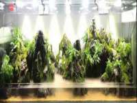 江苏凡德电力科技有限公司扬州分公司