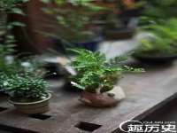 江苏凡德电力科技有限公司扬州分公司