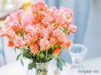 江苏凡德电力科技有限公司扬州分公司