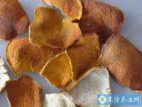 江苏凡德电力科技有限公司扬州分公司