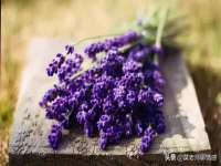 江苏凡德电力科技有限公司扬州分公司