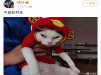 江苏凡德电力科技有限公司扬州分公司